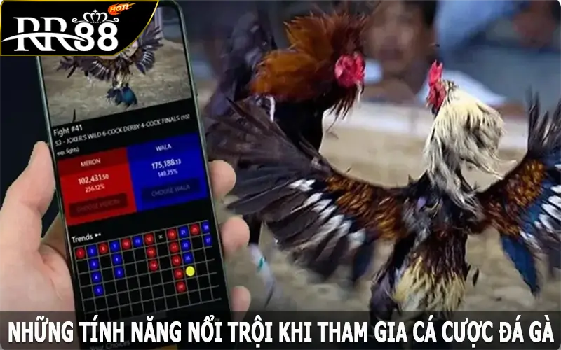 Những tính năng nổi trội khi tham gia cá cược đá gà