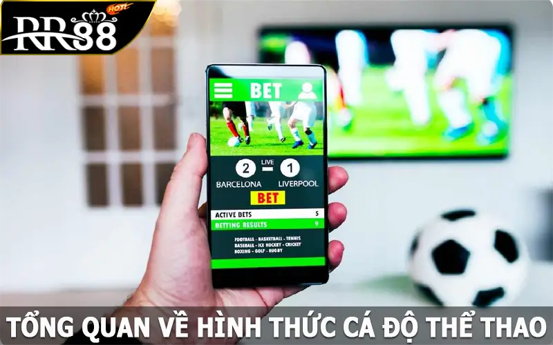 Tổng quan về hình thức cá độ thể thao online