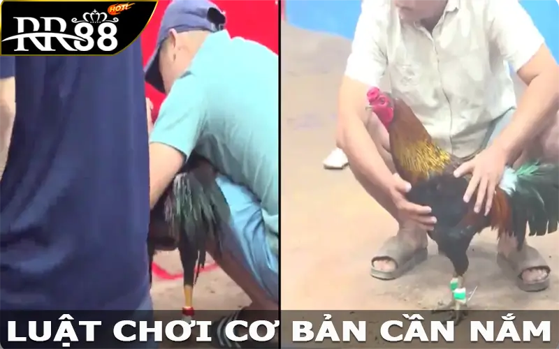 Luật chơi cơ bản cần nắm