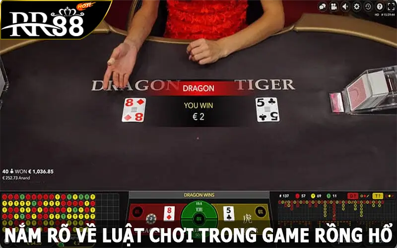 Nắm rõ về luật chơi trong game rồng hổ tại RR88