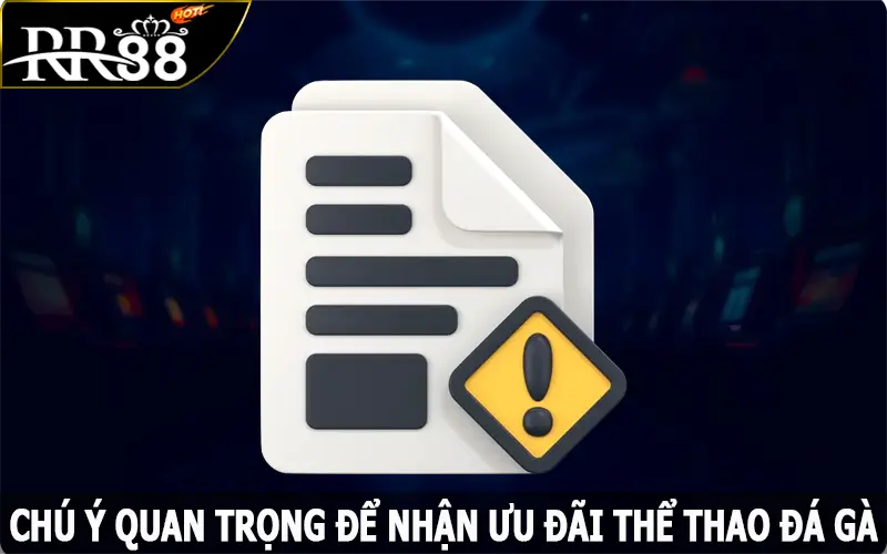 Chú ý quan trọng để nhận ưu đãi thể thao đá gà đơn giản