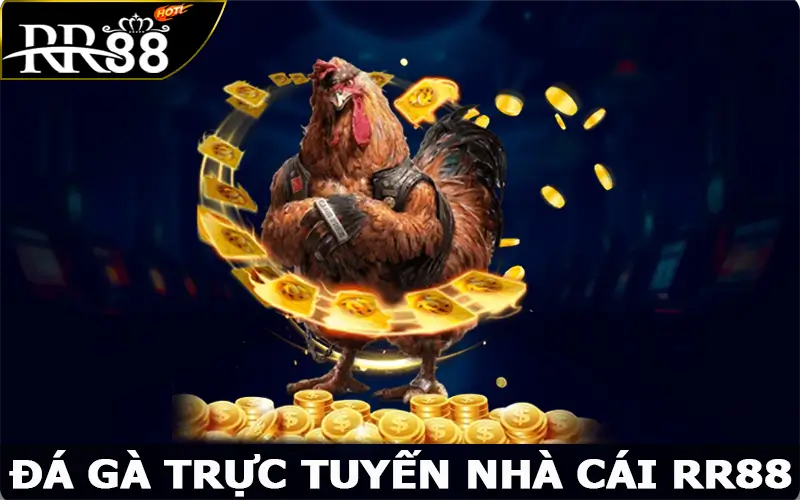 Đá Gà Trực Tuyến – Thưởng Thức Các Trận Chọi Kê Đầy Kịch Tính