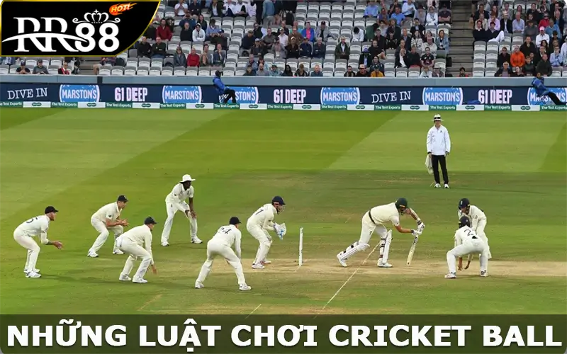 Những luật chơi cricket ball dễ dàng dành cho người chơi